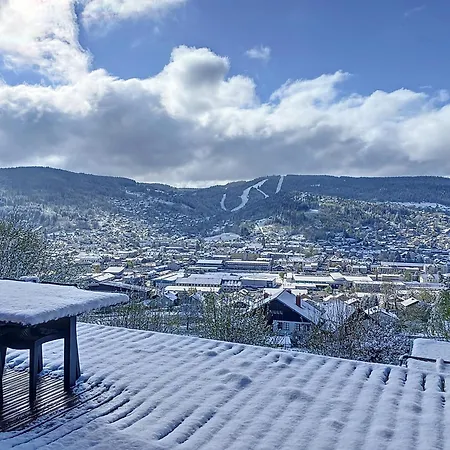 Chalet De Standing 12 Personnes Gérardmer