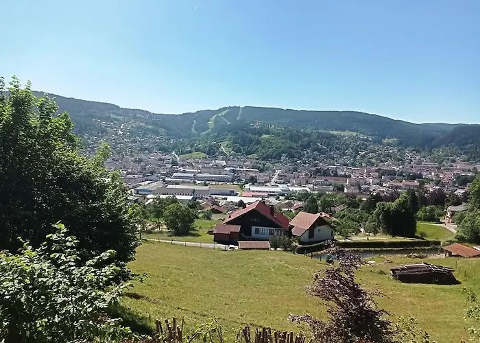 Chalet De Standing 12 Personnes Gérardmer